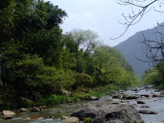 邓旭雄作品选之桂东丧葬习俗 邓旭雄作品选之桂东丧葬习俗