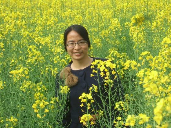 桂东新坊将军石传奇 图片