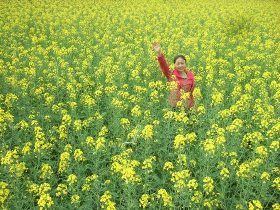 桂东新坊将军石传奇 图片