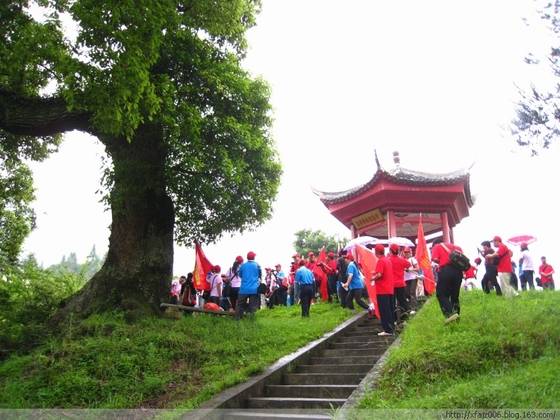 龙溪伟人树的传奇故事 龙溪伟人树的传奇故事