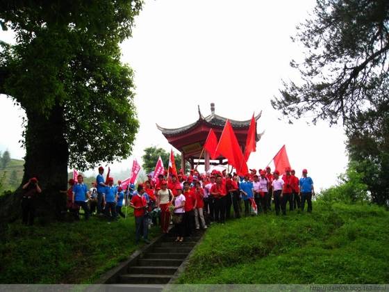 龙溪伟人树的传奇故事 龙溪伟人树的传奇故事