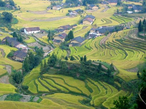 毛泽东在寒领界的战斗 毛泽东在寒领界的战斗