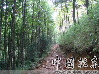 桂东风情之邓建中的探访中国长寿之乡增口乡 桂东风情之邓建中的探访中国长寿之乡增口乡