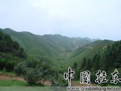 桂东风情之邓建中的探访中国长寿之乡增口乡 桂东风情之邓建中的探访中国长寿之乡增口乡