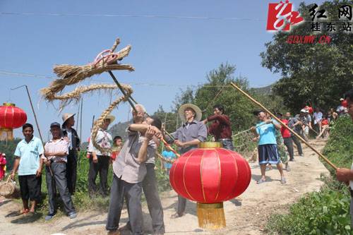 农历六月六 桂东别样“禾苗节”