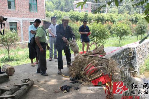 农历六月六 桂东别样“禾苗节”