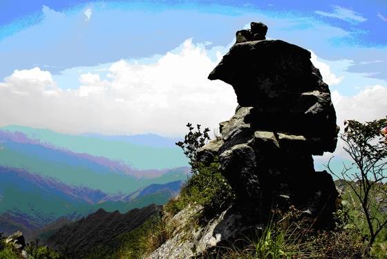 桂东品质如是说【郴州日报】 桂东品质如是说【郴州日报】