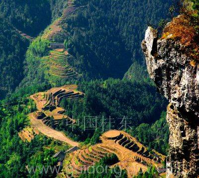 桂东品质如是说【郴州日报】 桂东品质如是说【郴州日报】