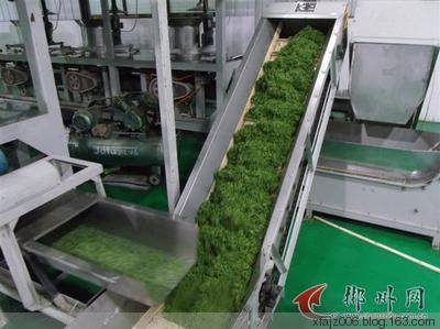 桂东玲珑茶的传奇故事 桂东玲珑茶的传奇故事