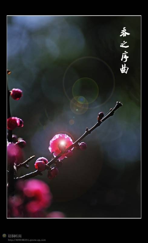 邓建平作品选之你的幸福是我最大的安慰 图片