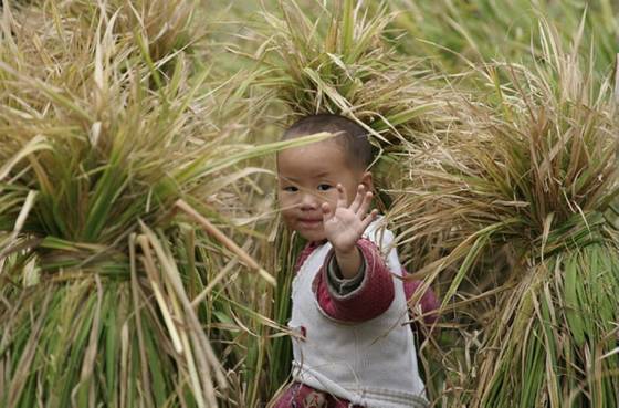 邓建平作品选之新起点 图片
