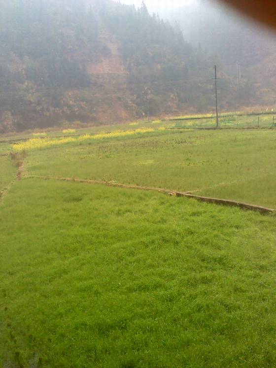 扶柏军作品选之言为心声 图片