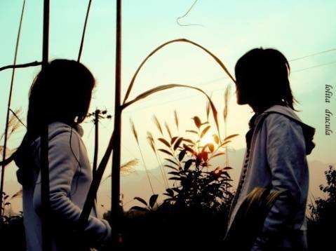 扶柏军作品选之言为心声 图片