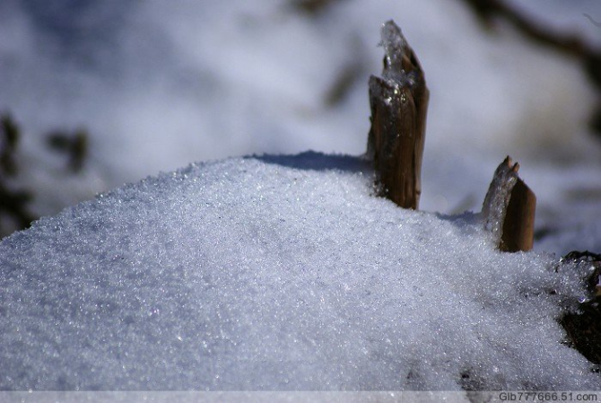 郭丽波作品选之真实写照 图片