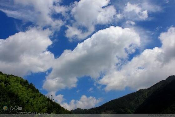 郭丽波作品选之真实写照 图片