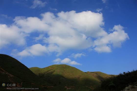 郭丽波作品选之真实写照 图片