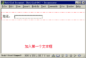 加入第一个文本框后的页面