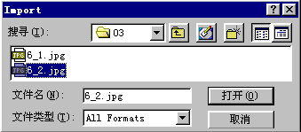 选择导入的文件