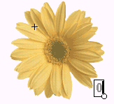 调整文本框的位置