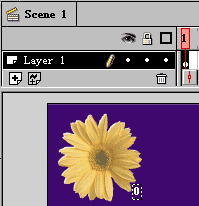 “flower”的位置