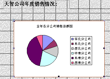 插入图表后的视图
