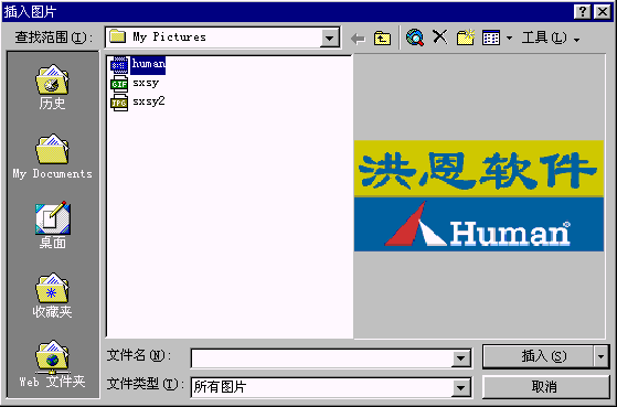 插入图片对话框