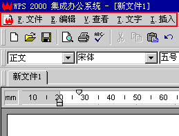 WPS 2000 ˵