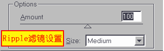 Ripple滤镜设置