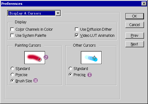 “显示与光标”对话框