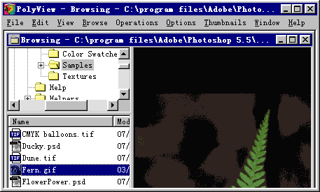 PolyView的浏览器