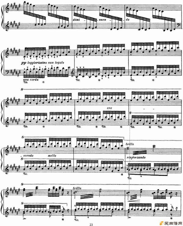 ���١���˹�� �������� ������ S.163 No.4 ��˹��ׯ԰����Ȫ