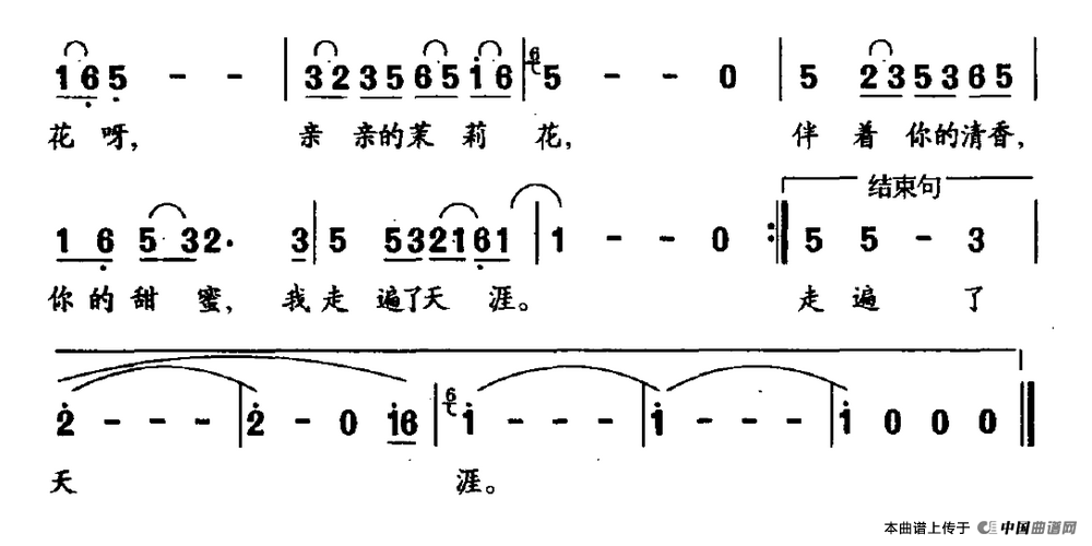 ��衶���׵����򻨡�