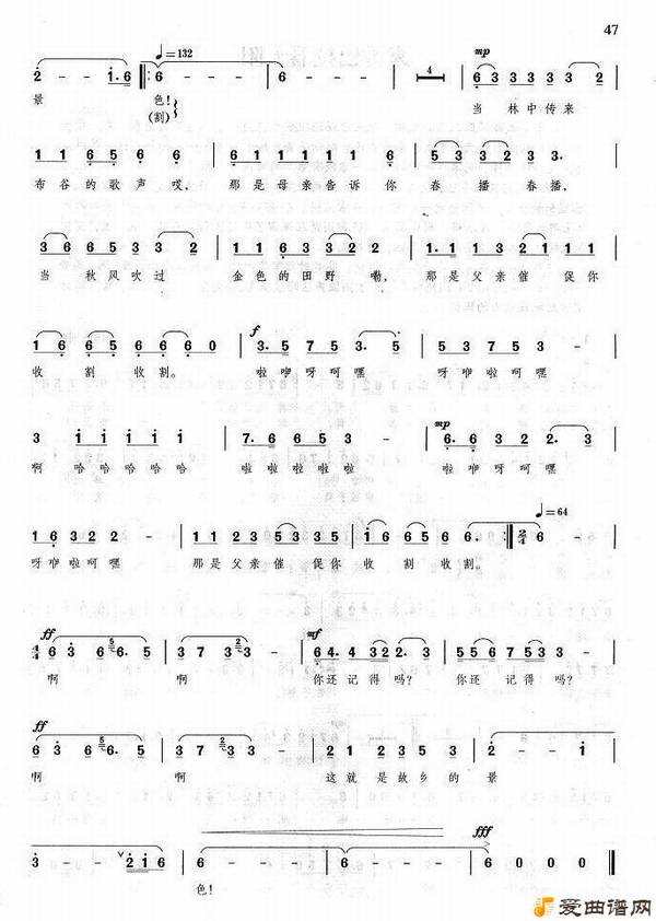 ��衶������԰��