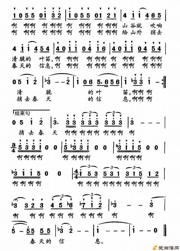 ������������ɽ���