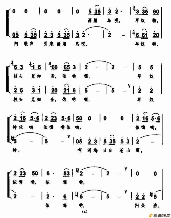 �ϳ����𻨰�����������