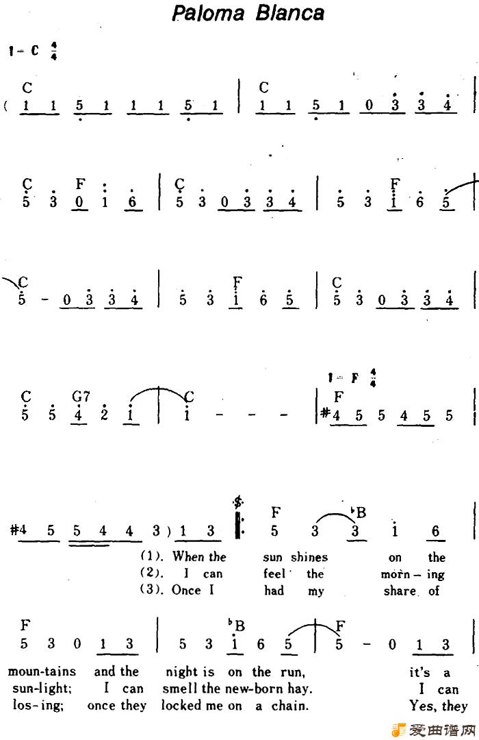 �����[��]Paloma Blanca��