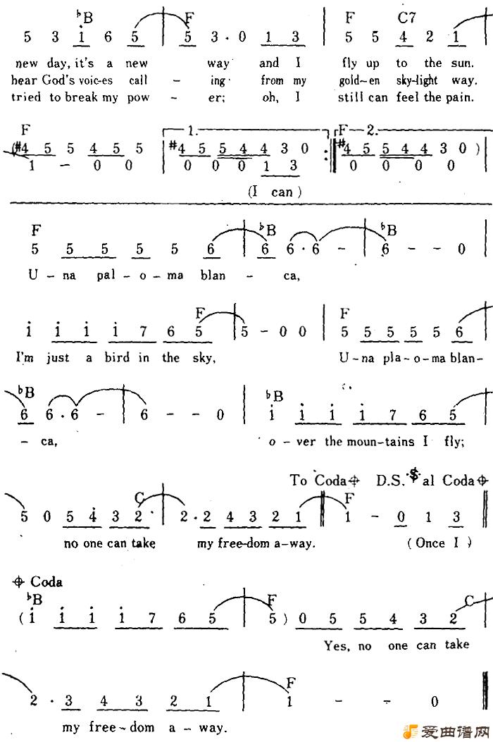 �����[��]Paloma Blanca��