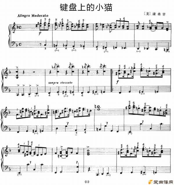 �ַ��١�������Сè��