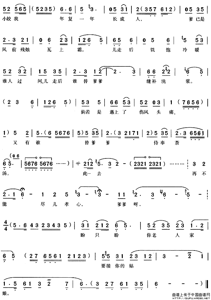 ��÷Ϸ�������Ͷ����ż�����