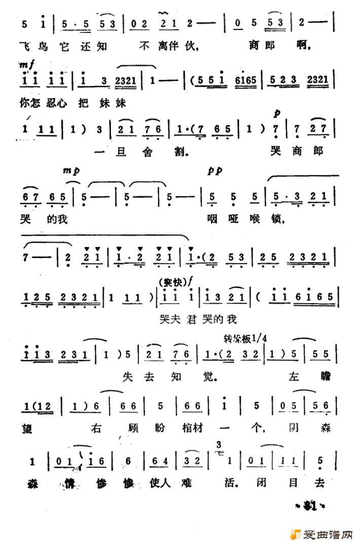 ԥ�硶���׾������Ӣ��������