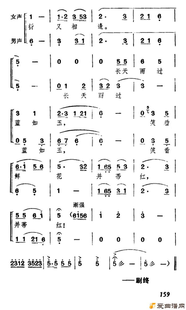 ��÷Ϸ��ţ��֯Ů��Ƭβ���ּ��ϳ���