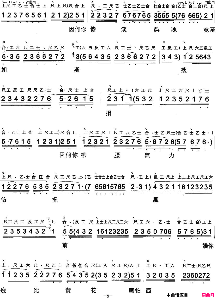 ���硶�����(�������� ������+����)��