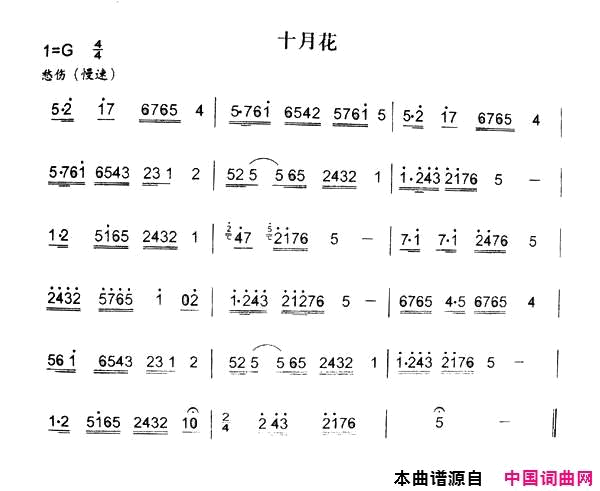 ��ǻ��ʮ�»�(��ǻ��������)