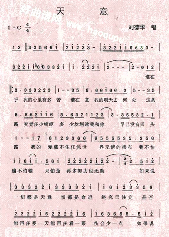 �����⡷�����»��ݳ���