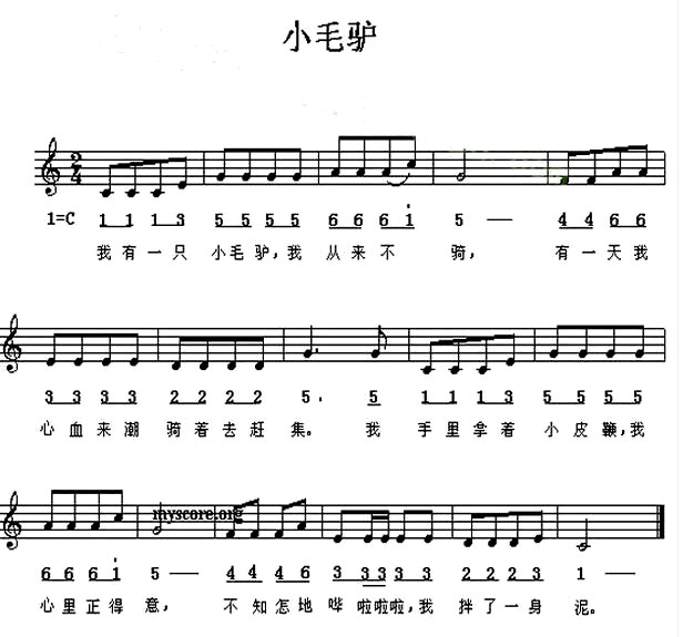 ��Сë¿����С��������ݳ���