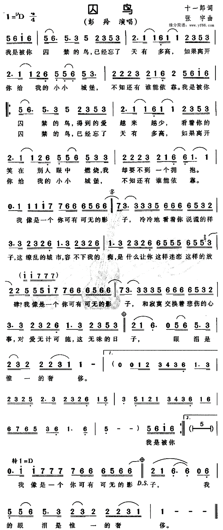囚鸟_彭羚 张宇