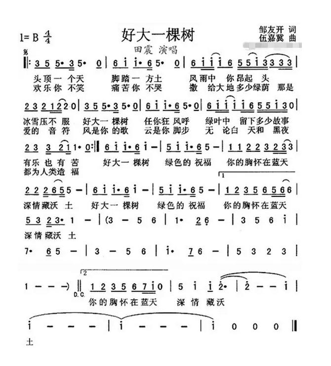 好大一棵树歌词歌谱