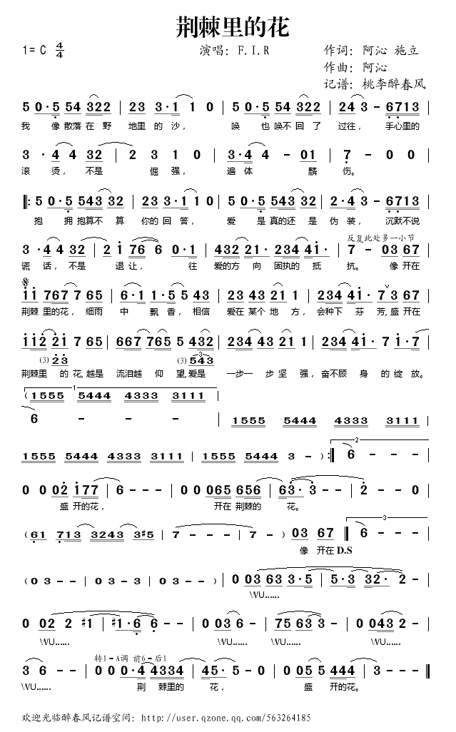 荆棘里的花歌谱