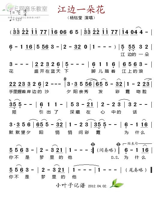 江边一朵花歌谱