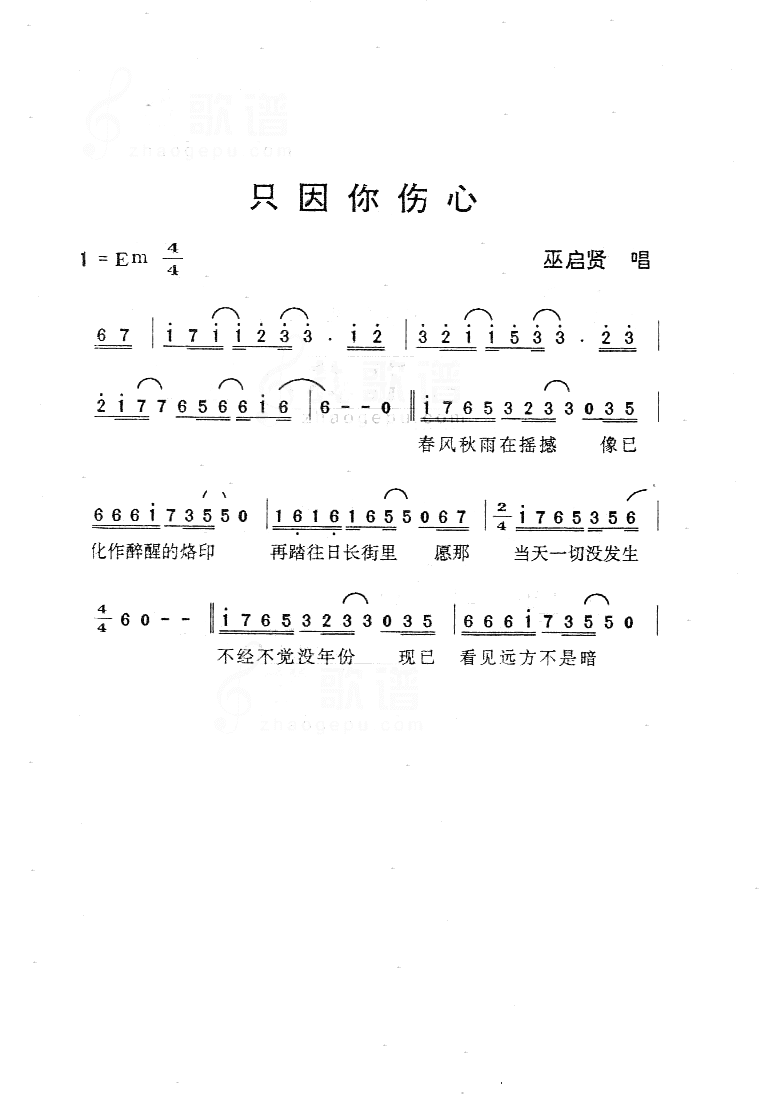 只因你伤心简谱